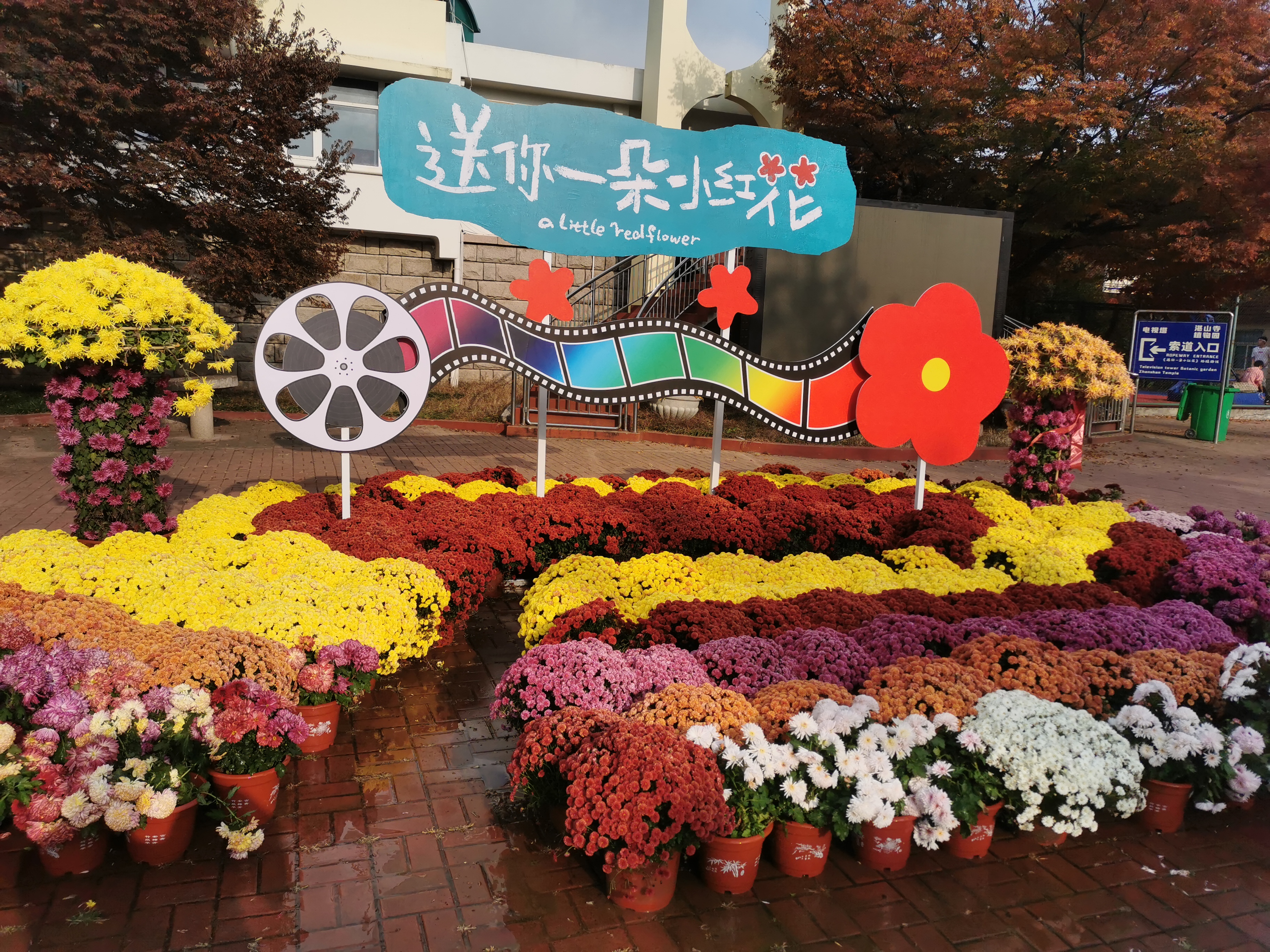 一帆风顺