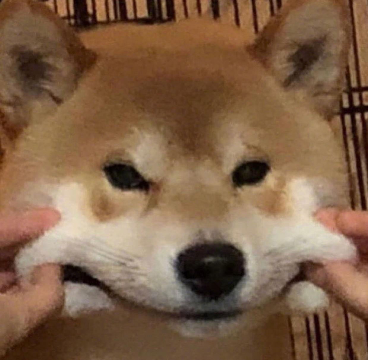 我睡觉流口水
