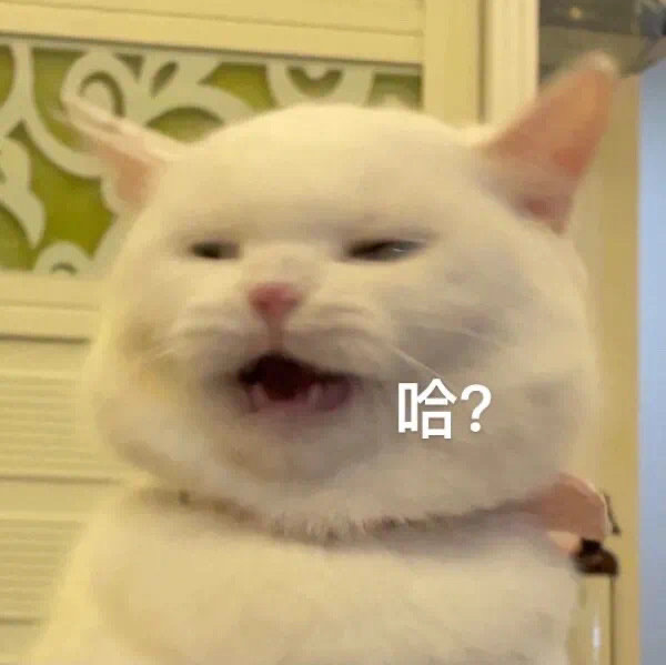 akshdbhdbd