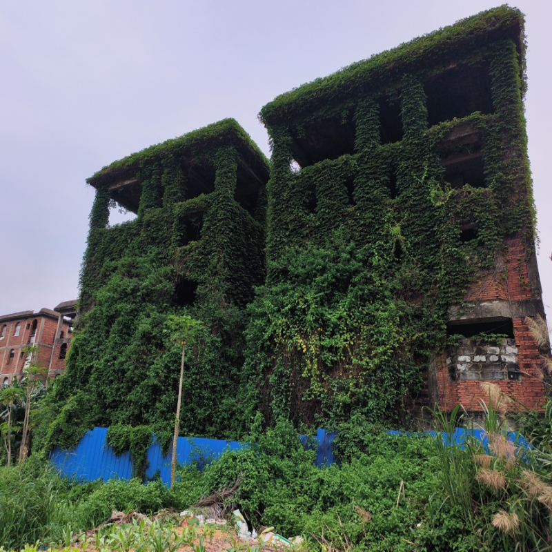 鹦鹉学舌