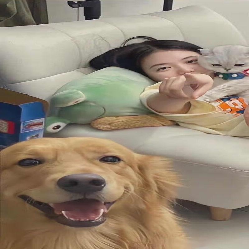 浮生若梦。