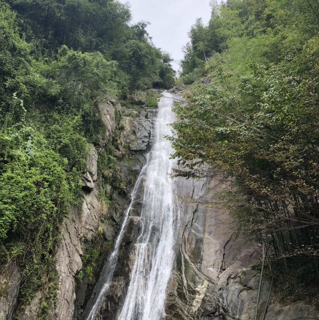 敏