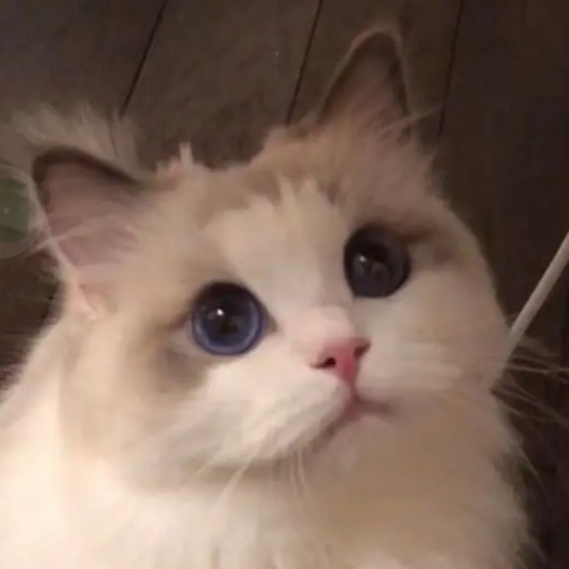 秋丰