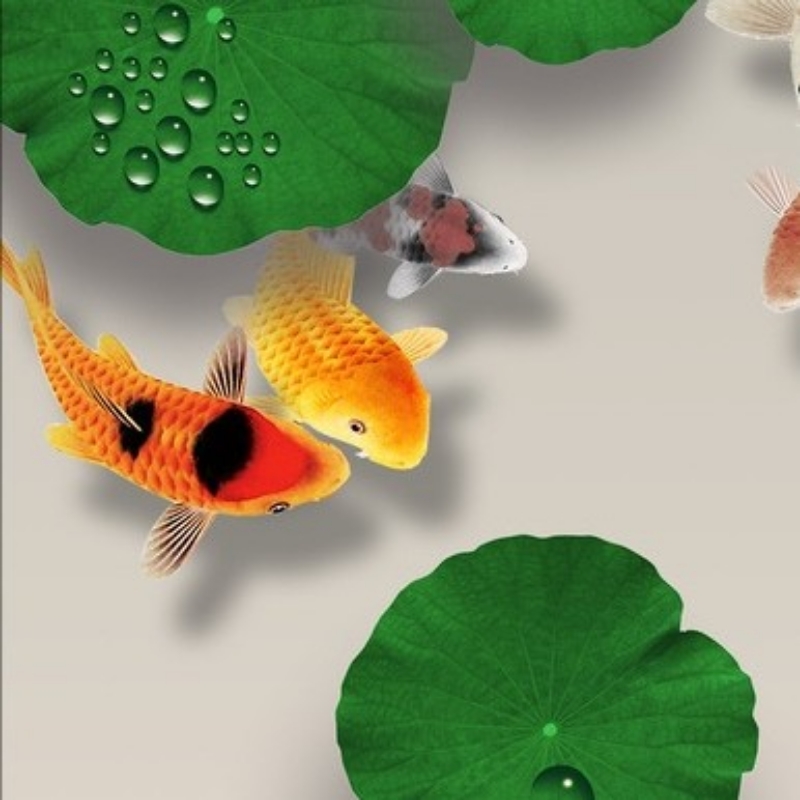 前程似覃⁹²⁶⁵