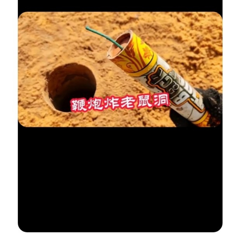 王维加