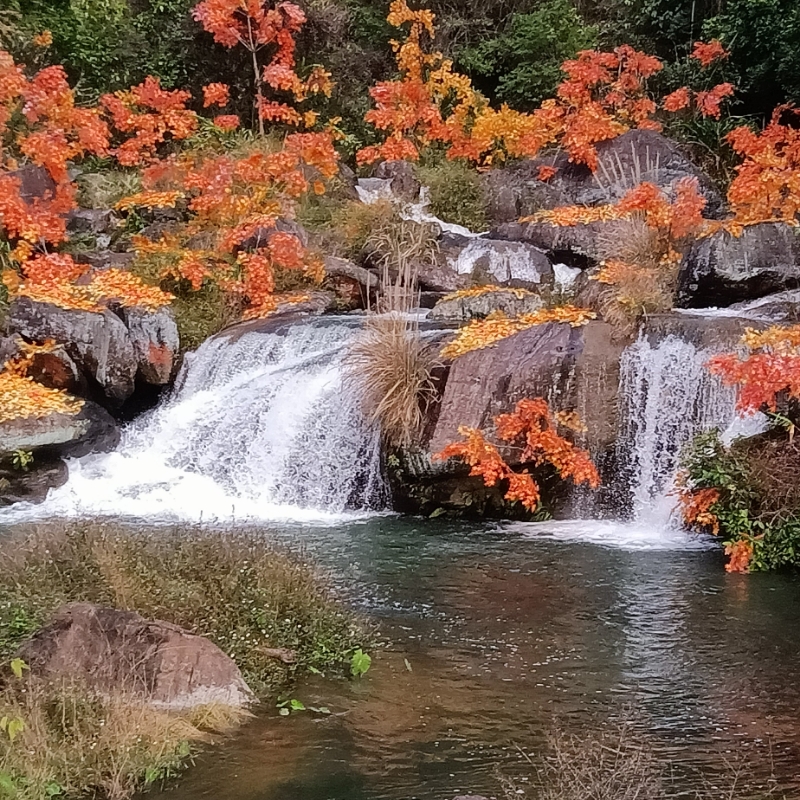 青山绿水