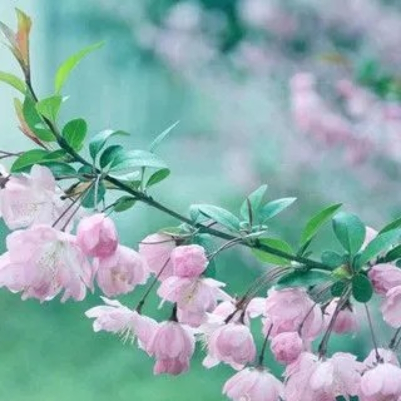 小荣荣111