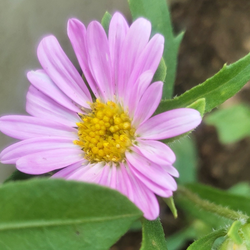 雨后彩虹