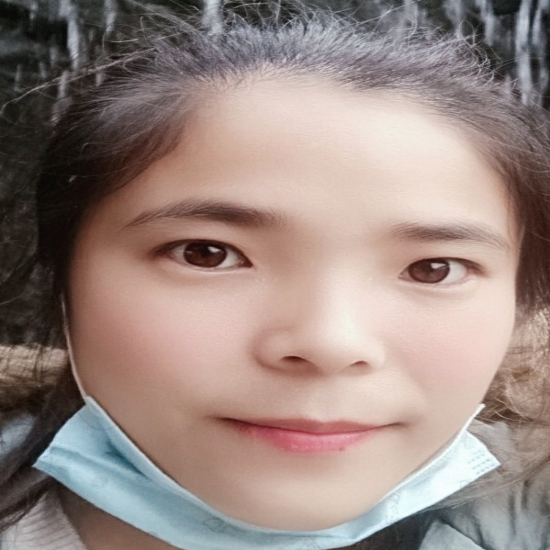 hl毛毛虫