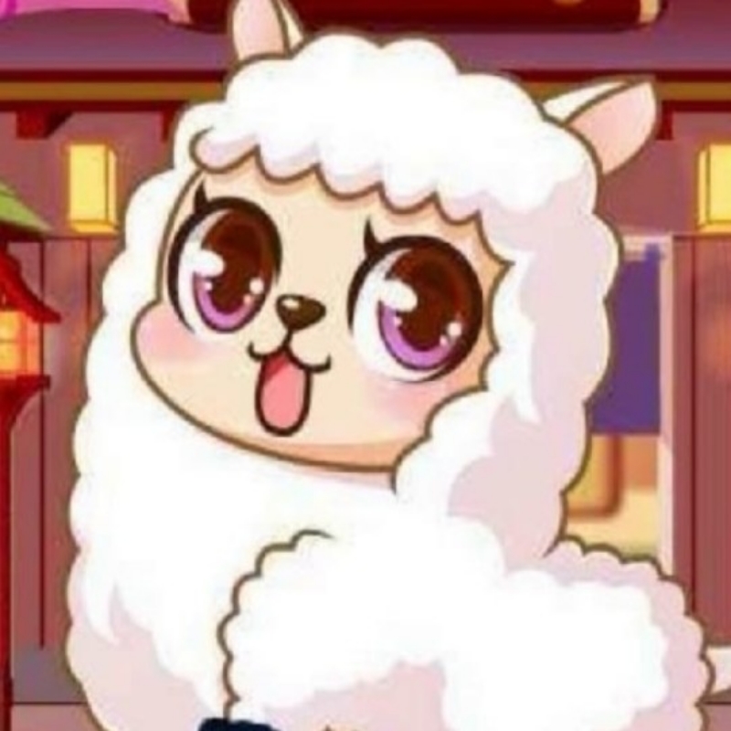 迪迪