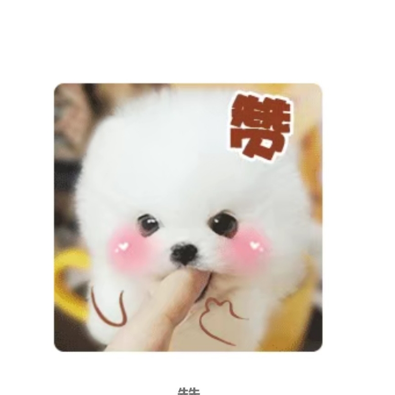 怀乡仔