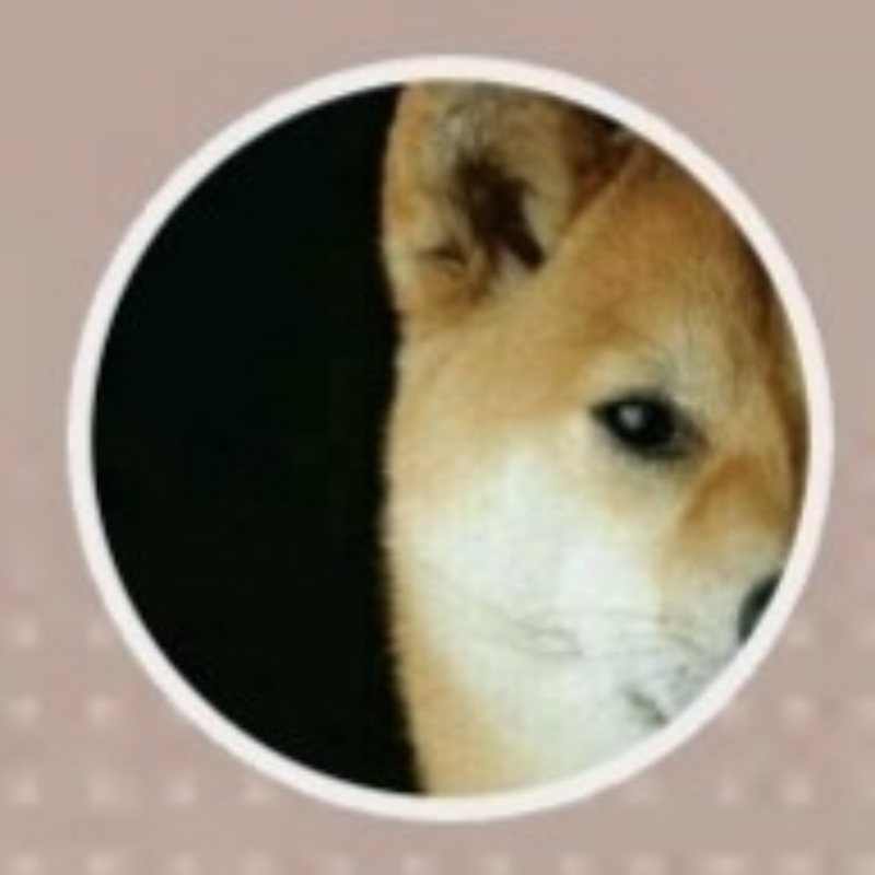 TAE. 凌晨