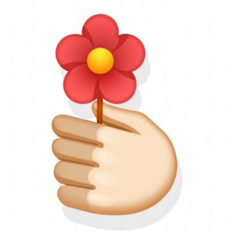 我是一朵枚瑰花🌹