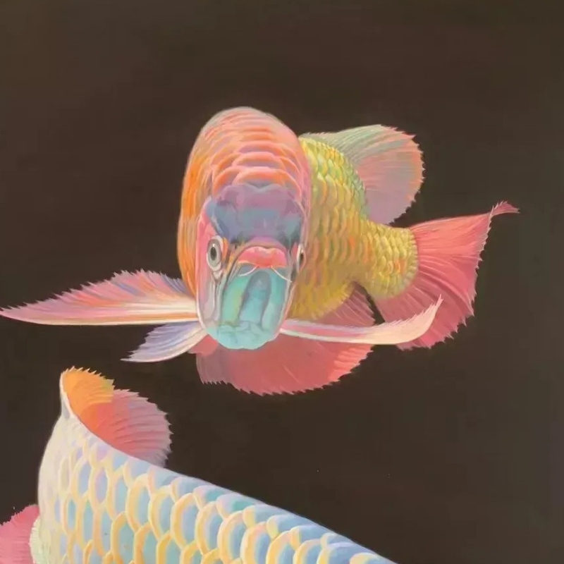 清沐