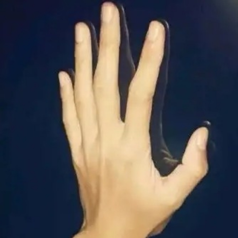 海棠庄主