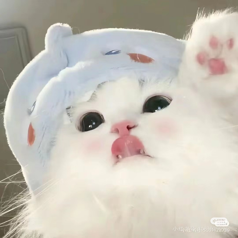 妮妮爱历史
