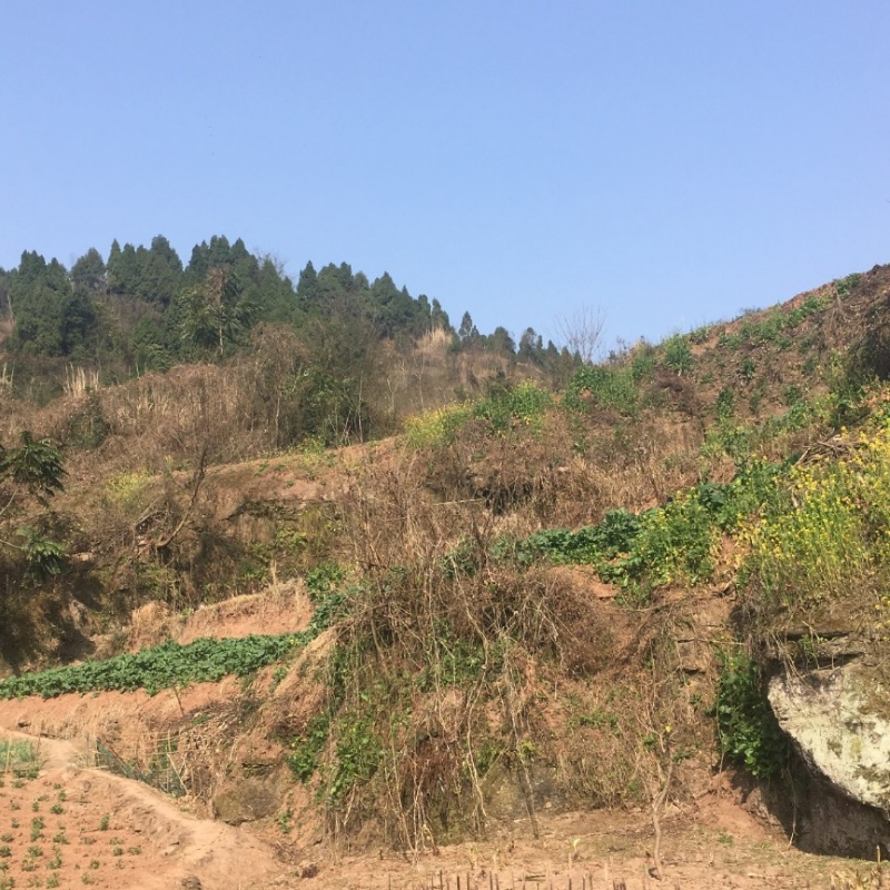 过客