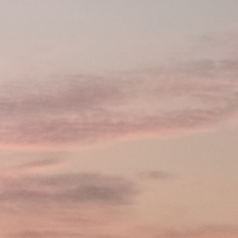大香高
