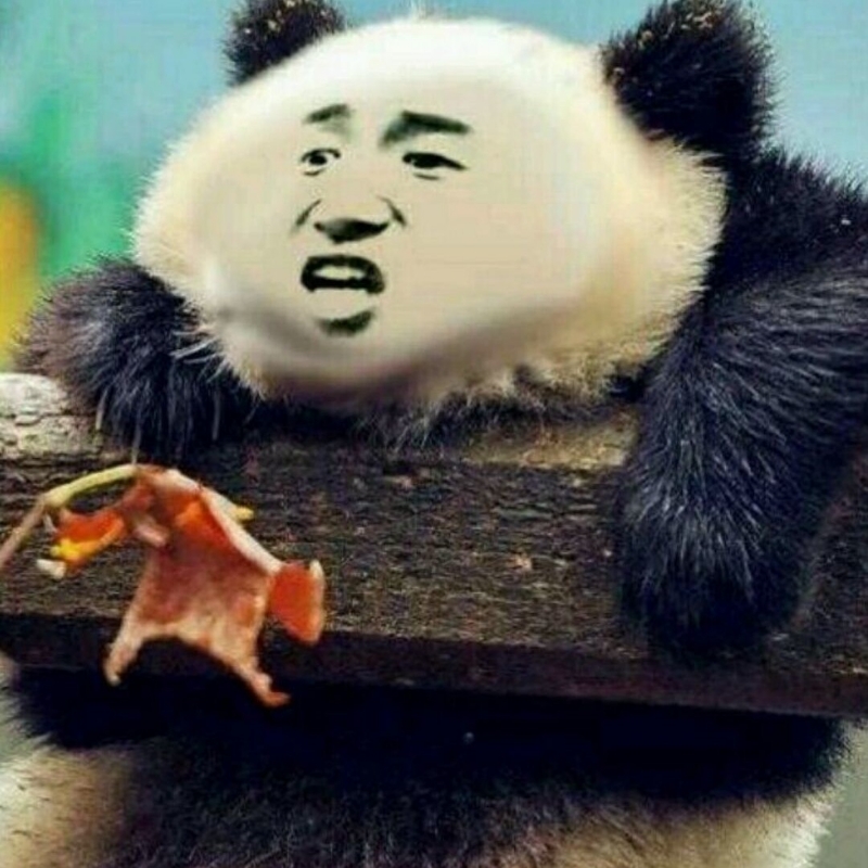 歪熊猫
