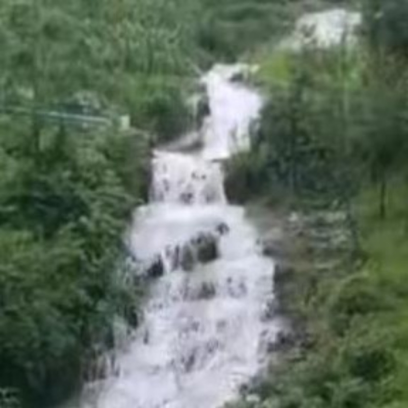 儒雅