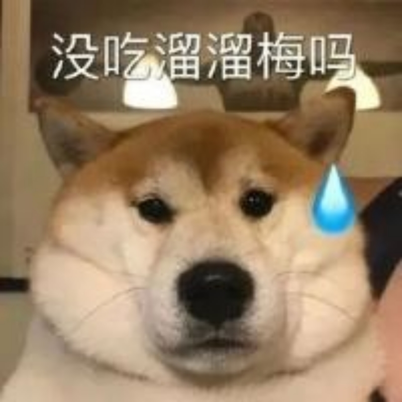 略略略略略略略略略略略略略略略