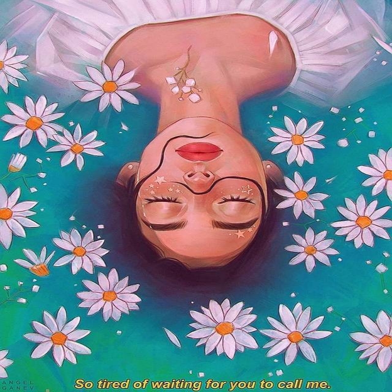 撑花儿_umbrella