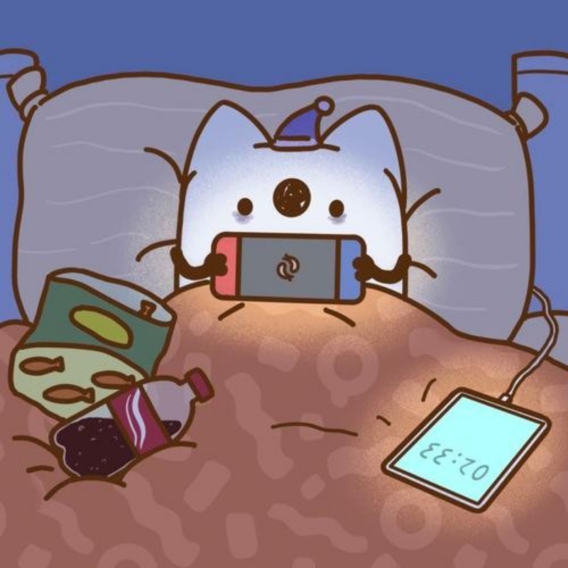 遇见sy
