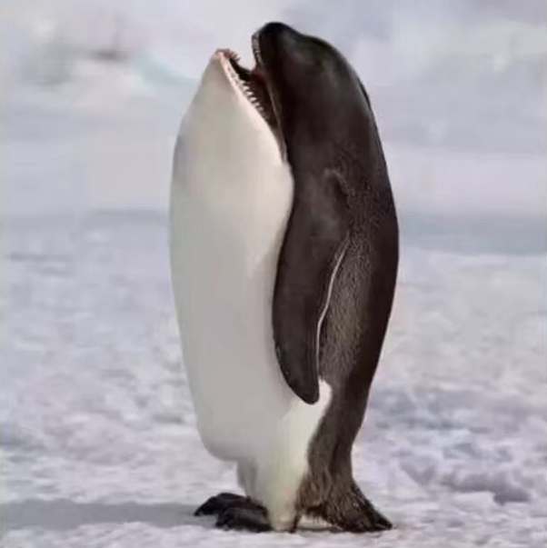 道听荼说