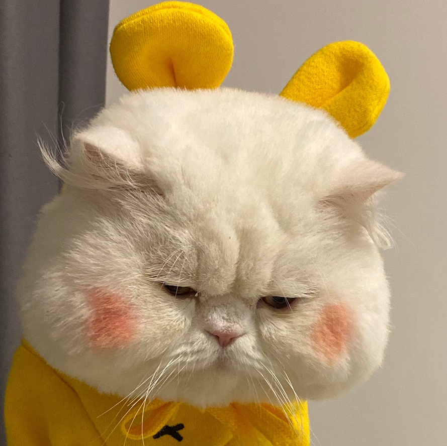 小鲁班有蛋蛋