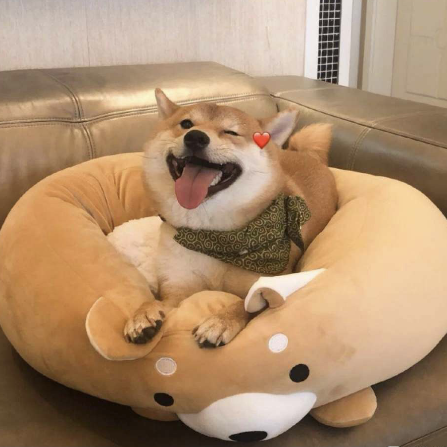 醒醒啊该读书了