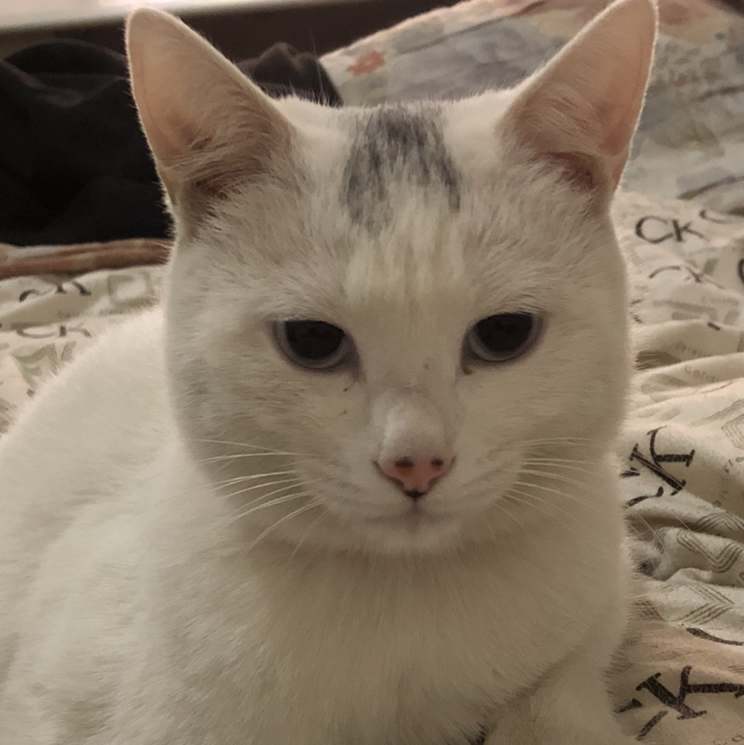 Janet98