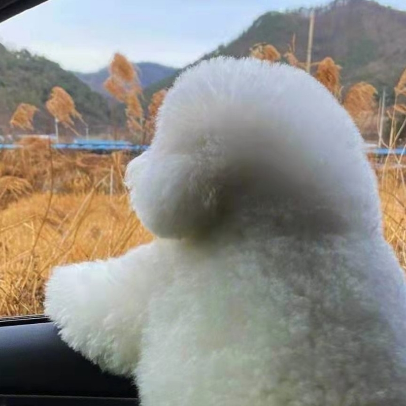 别无所求