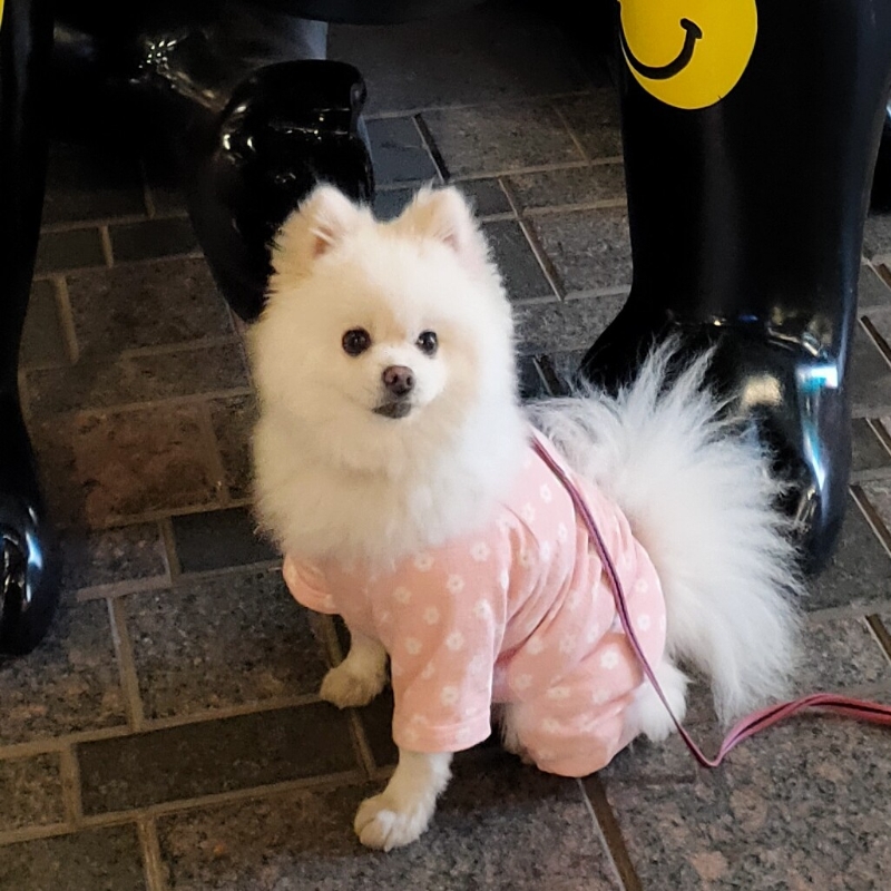 阳光明媚的快乐生活