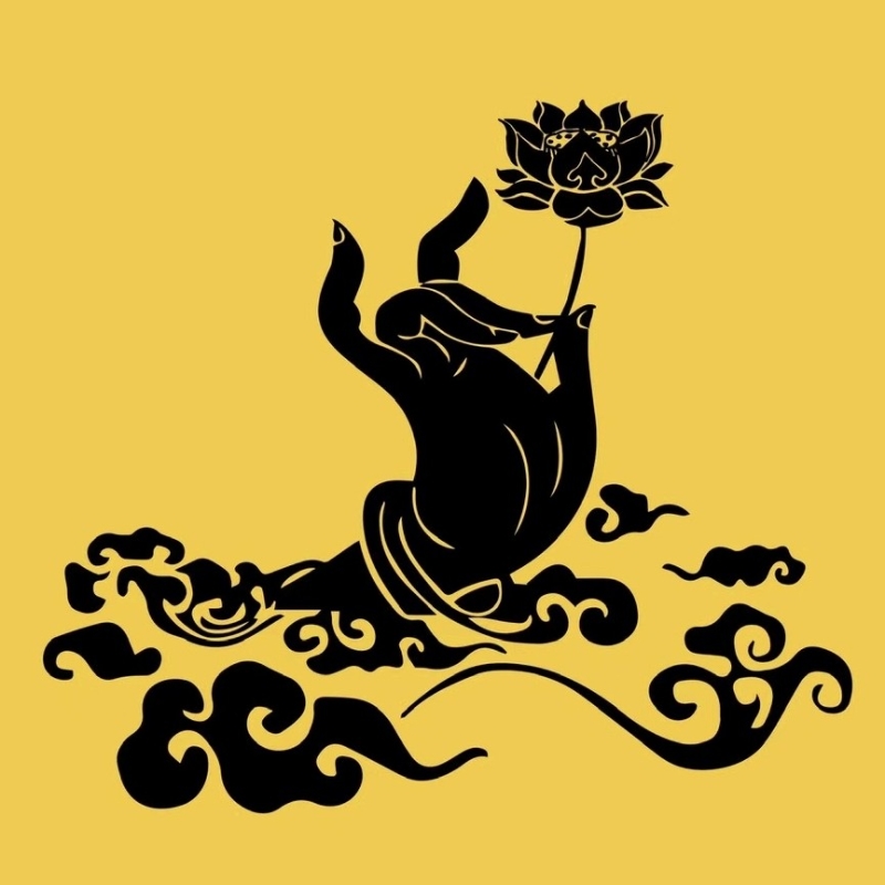 有源
