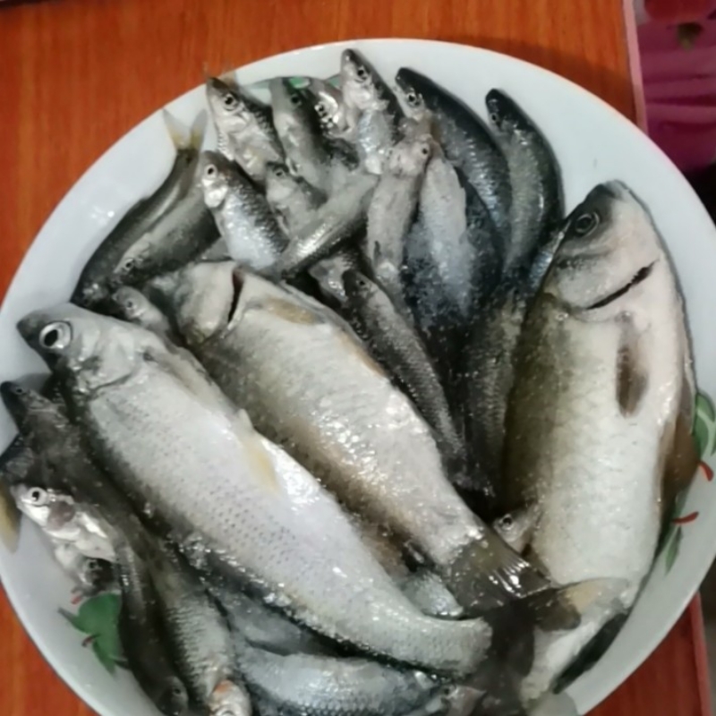 阳光