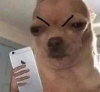 嗜茶