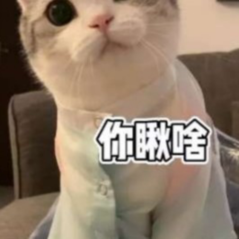 碗友🌿