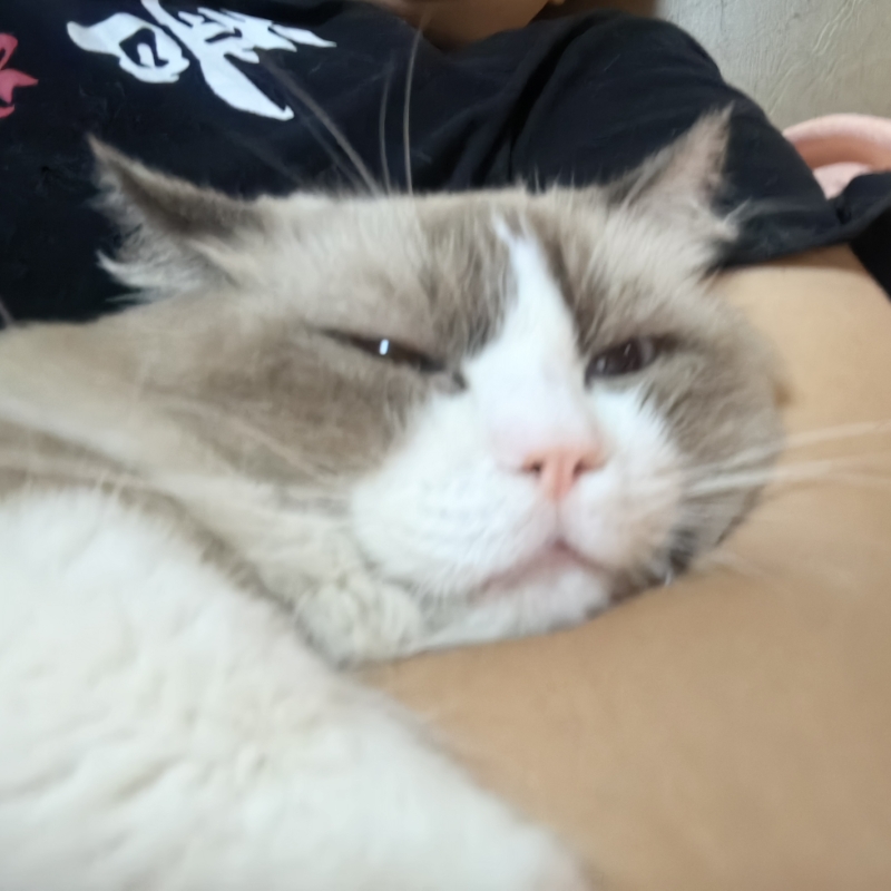 小咖啡