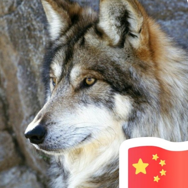 泱泱华夏一滴水