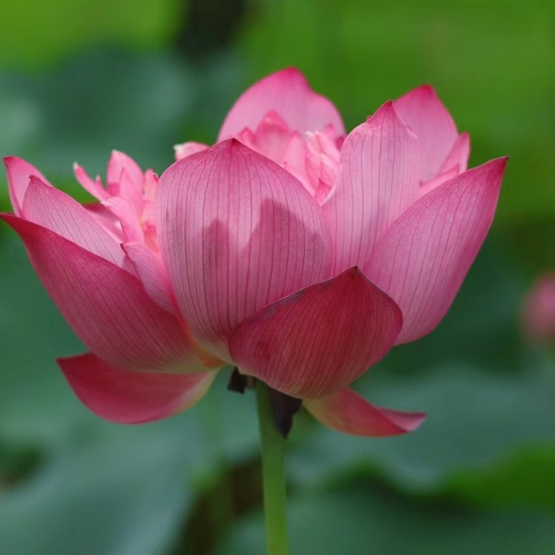 晴昀朗毓