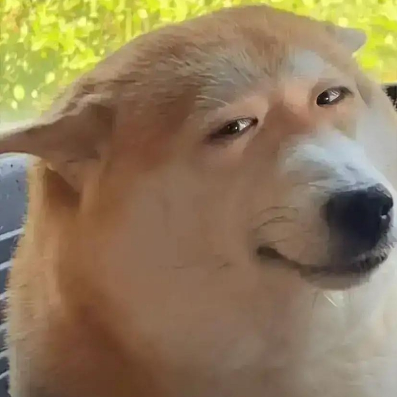 东昌区小黎明