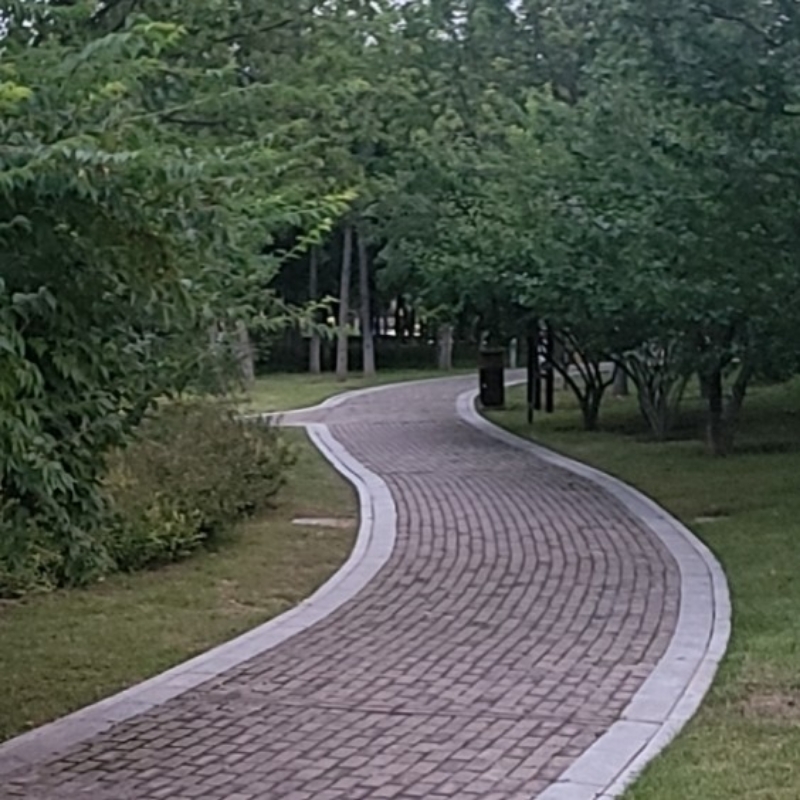 晨