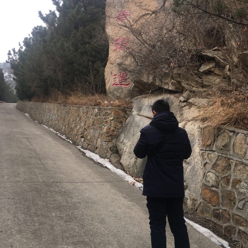 劉家瀏瀏啲大哥