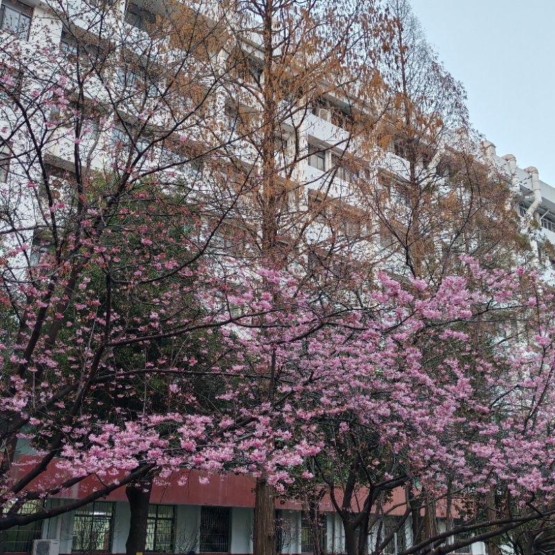 观察呦呦呦