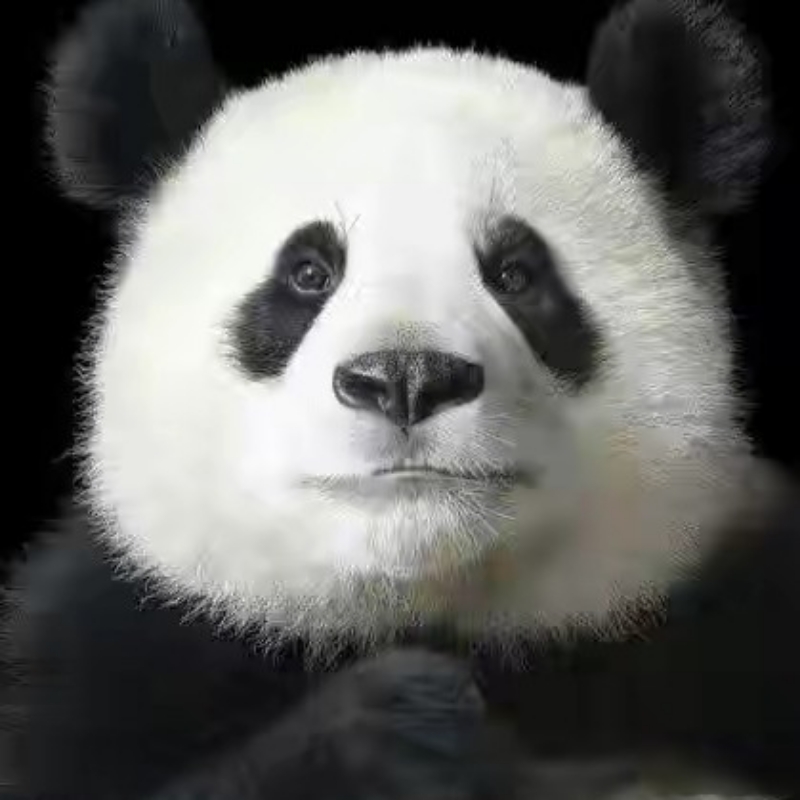 逗斗