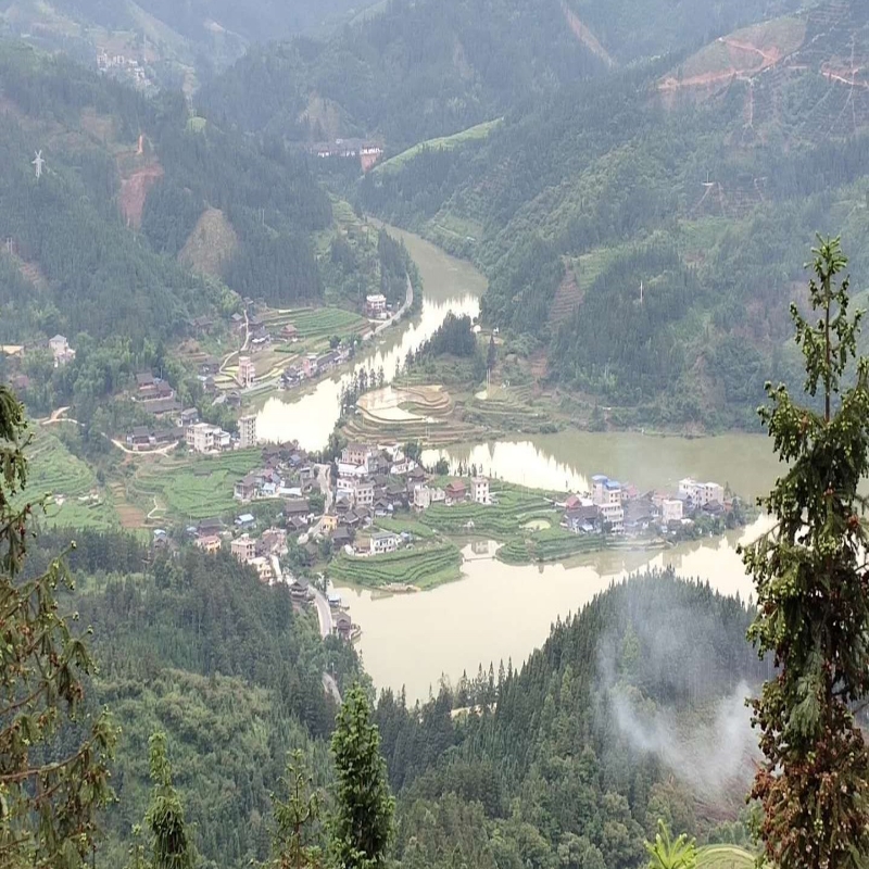 三元爱好