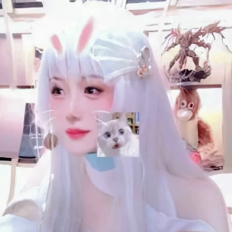苏染