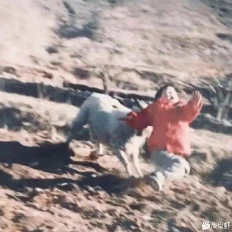铁锤哥哥