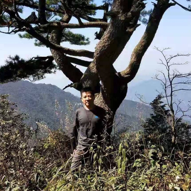 归不归