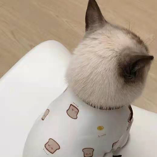 骚豆腐